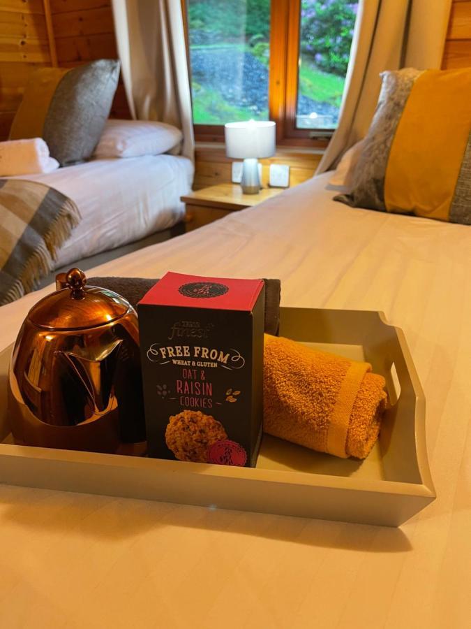 Vila L10 - The Conwy Spa With Hot Tub Bethesda Exteriér fotografie